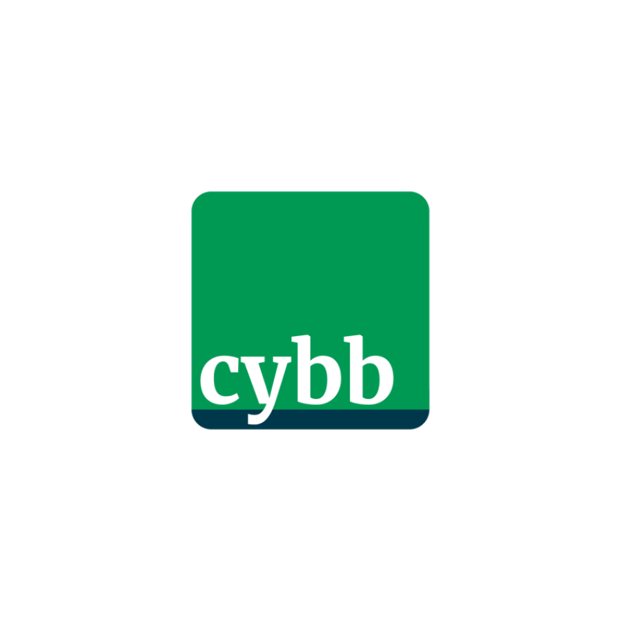 CYBB – die Cyberabwehr von Börgmann & Bloemers