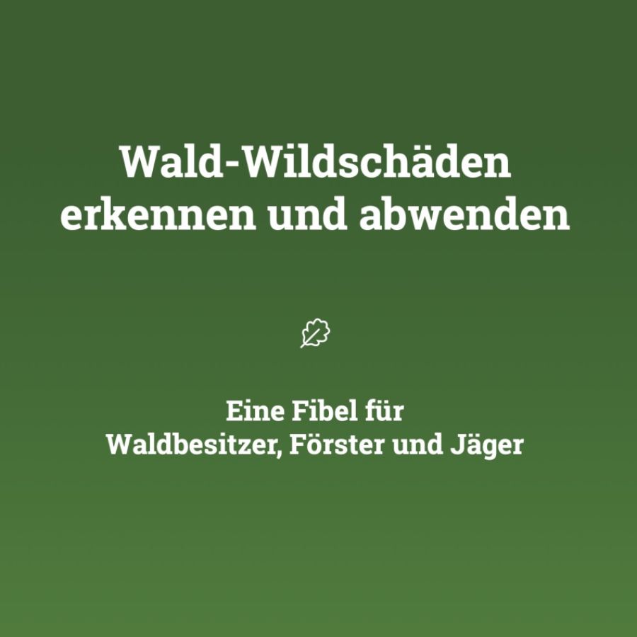 Titelseite der Fibel