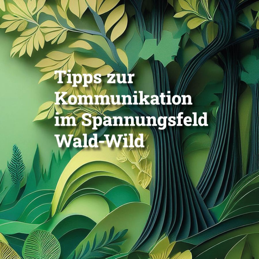 Tipps zur Kommunikation im Spannungsfeld Wald-Wild
